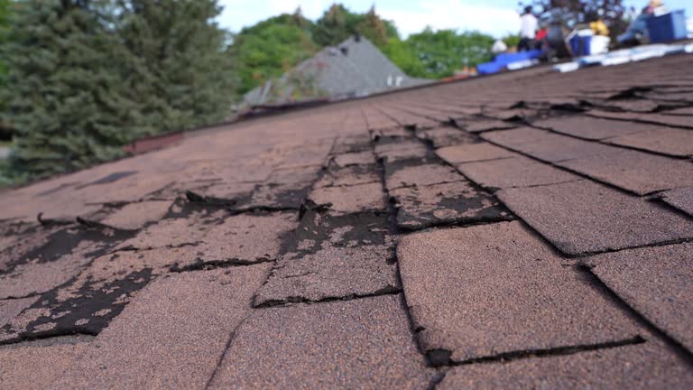 Best Emergency Roof Repair Services  in Ferris, TX