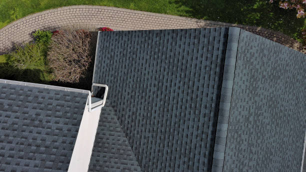 Best Roof Coating and Sealing  in Ferris, TX