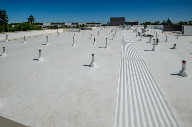 Best Solar Panel Roofing Installation  in Ferris, TX